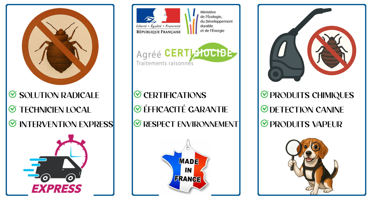 Punaises de Lit Parmain