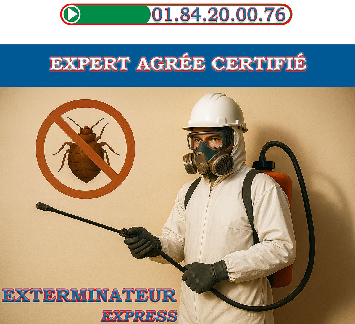 Punaises de Lit Parmain